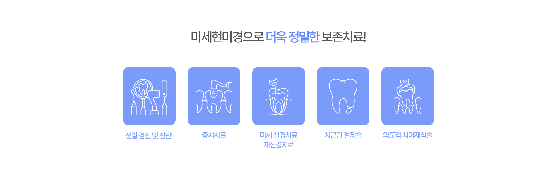 미세현미경 센터02