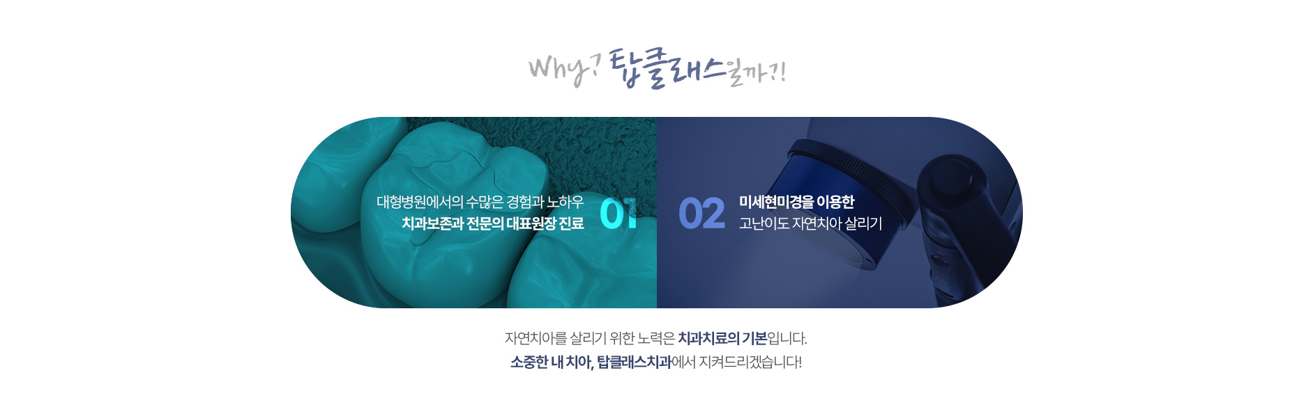 미세현미경 센터03